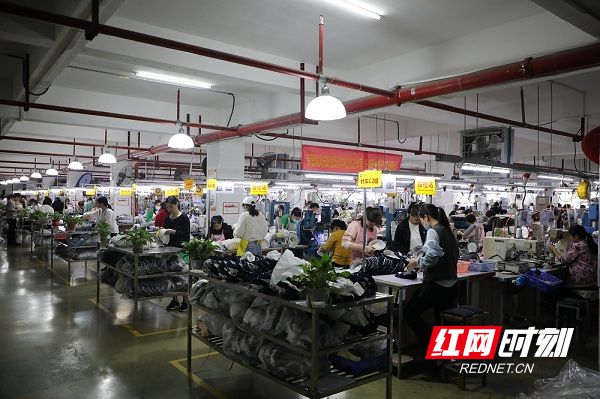 纾困增效丨新田产业开发区:当好企业用工“红娘”助力企业平稳发展