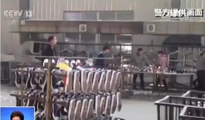注意 | 你穿的耐克鞋可能是假的!国内最大假冒运动鞋案告破 50多万双被查