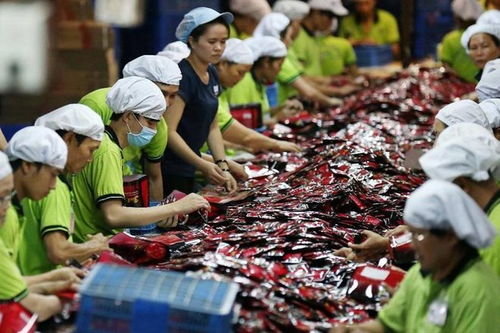 越南代工神话破灭 订单暴跌80 ,4万家工厂停摆,阿迪耐克含泪认错