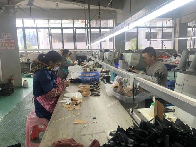 镇南镇引进鞋业加工厂，群众实现家门口就业