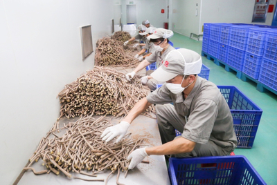 康美药业中药生产基地 从药材到成品的匠心之旅