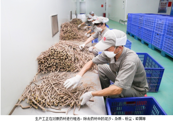 康美药业中药生产基地销售专员的一天